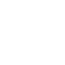 x icon